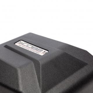 COBB Ford Intake System Fiesta ST 2014-2019
